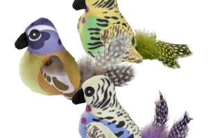 AniOne oiseau avec bruit de gazouillis AniOne oiseau avec bruit de gazouillis