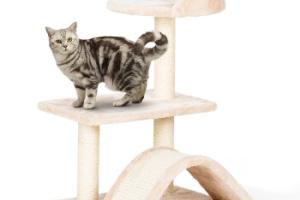 FIT+FUN Arbre à chat beige FIT+FUN Arbre à chat beige