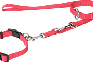 FIT+FUN Collier + laisse rose S FIT+FUN Collier + laisse rose S