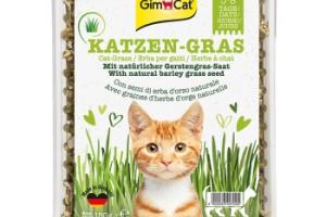 GimCat Herbe à Chat 150g
