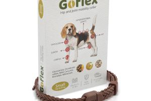 GoFlex Collier de hanche et d'articulation contre l'ostéoarthrite S GoFlex Collier de hanche et d'articulation contre l'ostéoarthrite S