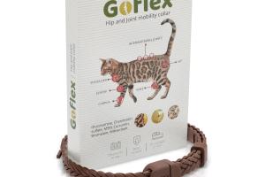 GoFlex Collier de hanche et d'articulation contre l'ostéoarthrite