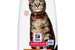 Hill's Science Plan aliment complet sec pour chat, Adulte Saumon 10 kg Hill's Science Plan aliment complet sec pour chat, Adulte Saumon 10 kg