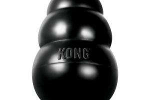 KONG Jouet pour chien Extreme L KONG Jouet pour chien Extreme L