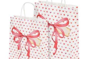 Maxi Zoo Sac-cadeaux Design Cœur S Maxi Zoo Sac-cadeaux Design Cœur S