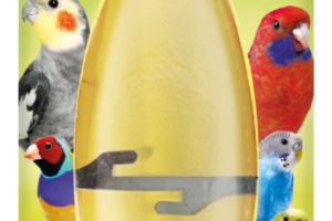 MultiFit Os de seiche aux agrumes