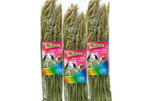 MultiFit snack pour rongueurs Épis de blé 3x120g MultiFit snack pour rongueurs Épis de blé 3x120g