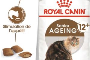 ROYAL CANIN Ageing 12+ Croquettes Chat 400 g ROYAL CANIN Ageing 12+ Croquettes Chat 400 g
