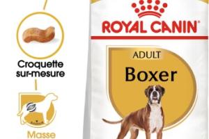 ROYAL CANIN Boxer Adulte Croquettes Chien 3 kg ROYAL CANIN Boxer Adulte Croquettes Chien 3 kg