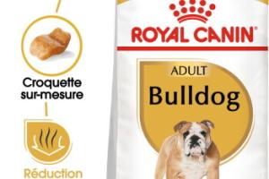 ROYAL CANIN Bulldog Adulte Croquettes Chien 12 kg ROYAL CANIN Bulldog Adulte Croquettes Chien 12 kg