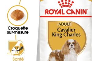 ROYAL CANIN Cavalier King Charles Adulte Croquettes Chien 7,5 kg ROYAL CANIN Cavalier King Charles Adulte Croquettes Chien 7,5 kg