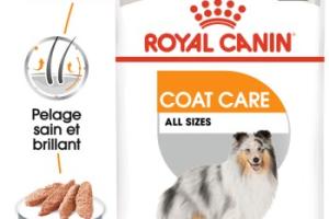 ROYAL CANIN Coat Care Adult Mousse 12x85 g