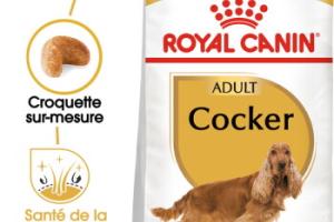 ROYAL CANIN Cocker Adulte Croquettes Chien 12 kg ROYAL CANIN Cocker Adulte Croquettes Chien 12 kg