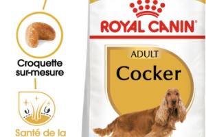 ROYAL CANIN Cocker Adulte Croquettes Chien 3 kg