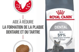 ROYAL CANIN Dental Care Croquettes Chat 400 g