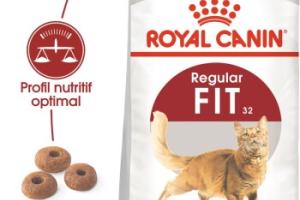 ROYAL CANIN Fit 32 Croquettes Chat 4 kg ROYAL CANIN Fit 32 Croquettes Chat 4 kg