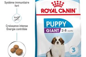 ROYAL CANIN Giant Chiot Croquettes Chien 15 kg ROYAL CANIN Giant Chiot Croquettes Chien 15 kg