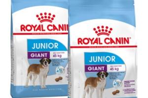 ROYAL CANIN Giant Junior Croquettes Chien 2x15 kg