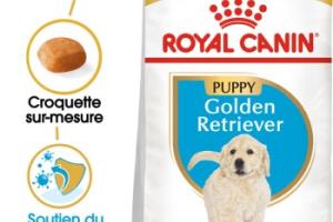 ROYAL CANIN Golden Retriever Chiot Croquettes Chien 3 kg ROYAL CANIN Golden Retriever Chiot Croquettes Chien 3 kg