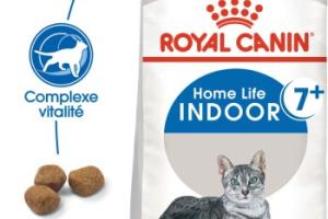 ROYAL CANIN Indoor 7+ Croquettes Chat 3,5 kg ROYAL CANIN Indoor 7+ Croquettes Chat 3,5 kg