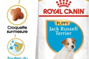 ROYAL CANIN Jack Russel Terrier Puppy 1,5 kg