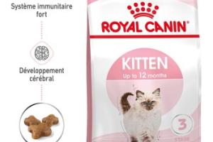 ROYAL CANIN Kitten pour chaton Croquettes Chat 4 kg