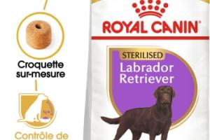 ROYAL CANIN Labrador Adulte Stérilisé Croquettes Chien 12 kg