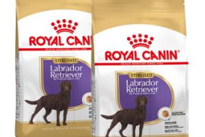 ROYAL CANIN Labrador Adulte Stérilisé Croquettes Chien 2x12 kg ROYAL CANIN Labrador Adulte Stérilisé Croquettes Chien 2x12 kg