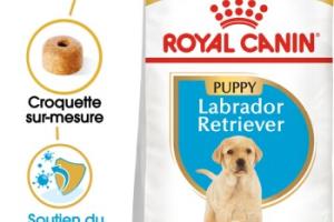 ROYAL CANIN Labrador Retriever Chiot Croquettes Chien 12 kg ROYAL CANIN Labrador Retriever Chiot Croquettes Chien 12 kg