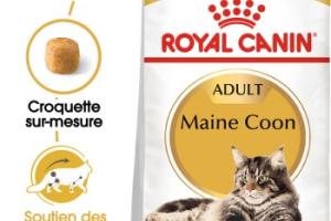 ROYAL CANIN Maine Coon Adulte Croquettes Chat 10 kg ROYAL CANIN Maine Coon Adulte Croquettes Chat 10 kg