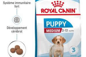 ROYAL CANIN Medium Chiot Croquettes Chien 10 kg ROYAL CANIN Medium Chiot Croquettes Chien 10 kg