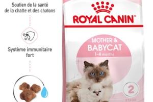 ROYAL CANIN Mother & Babycat Croquettes Chat 400 g