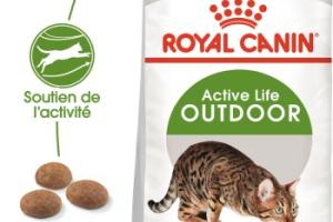 ROYAL CANIN Outdoor Croquettes Chat 400 g