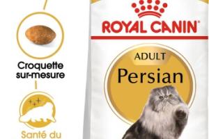 ROYAL CANIN Persan Adulte Croquettes Chat 2 kg ROYAL CANIN Persan Adulte Croquettes Chat 2 kg