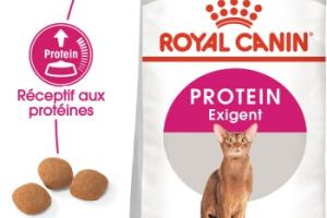 ROYAL CANIN Protein Exigent Croquettes Chat 2 kg ROYAL CANIN Protein Exigent Croquettes Chat 2 kg