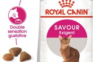 ROYAL CANIN Savour Exigent Croquettes Chat 2 kg ROYAL CANIN Savour Exigent Croquettes Chat 2 kg