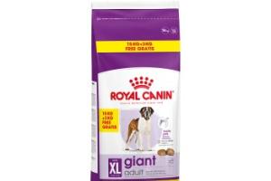ROYAL CANIN SHN Giant Adult 15+3 kg