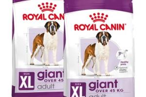 ROYAL CANIN SHN Giant Adult 2x15 kg ROYAL CANIN SHN Giant Adult 2x15 kg