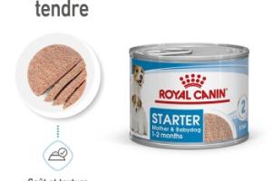 ROYAL CANIN Starter Mother & Babydog Mousse 12x195 g