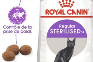 ROYAL CANIN Stérilisé 37 Croquettes Chat 2 kg