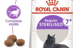ROYAL CANIN Stérilisé 7+ Croquettes Chat 3,5 kg ROYAL CANIN Stérilisé 7+ Croquettes Chat 3,5 kg