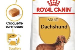 ROYAL CANIN Teckel Adulte Croquettes Chien 1,5 kg ROYAL CANIN Teckel Adulte Croquettes Chien 1,5 kg