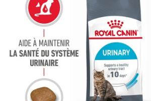 ROYAL CANIN Urinary Care Croquettes Chat 10 kg