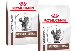 ROYAL CANIN Veterinary GASTROINTESTINAL 2x4 kg ROYAL CANIN Veterinary GASTROINTESTINAL 2x4 kg