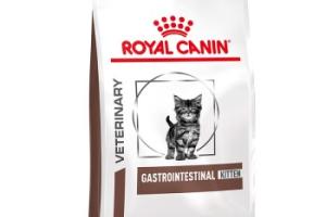 ROYAL CANIN Veterinary GASTROINTESTINAL KITTEN 400 g ROYAL CANIN Veterinary GASTROINTESTINAL KITTEN 400 g