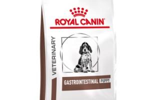 ROYAL CANIN Veterinary Gastrointestinal Puppy 10 kg ROYAL CANIN Veterinary Gastrointestinal Puppy 10 kg