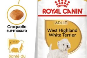 ROYAL CANIN West Highland White Terrier Adulte Croquettes Chien 1,5 kg ROYAL CANIN West Highland White Terrier Adulte Croquettes Chien 1,5 kg