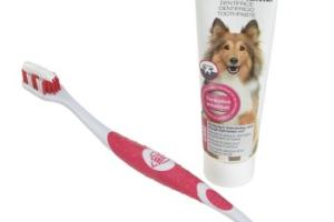 TAKE CARE Kit de soins dentaires TAKE CARE Kit de soins dentaires