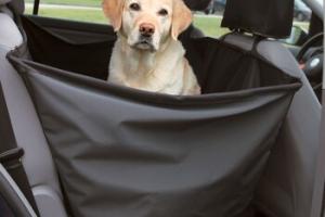 Trixie Couverture de protection pour voiture Trixie Couverture de protection pour voiture