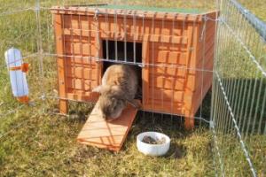 Trixie Petite animalerie Natura L Trixie Petite animalerie Natura L
